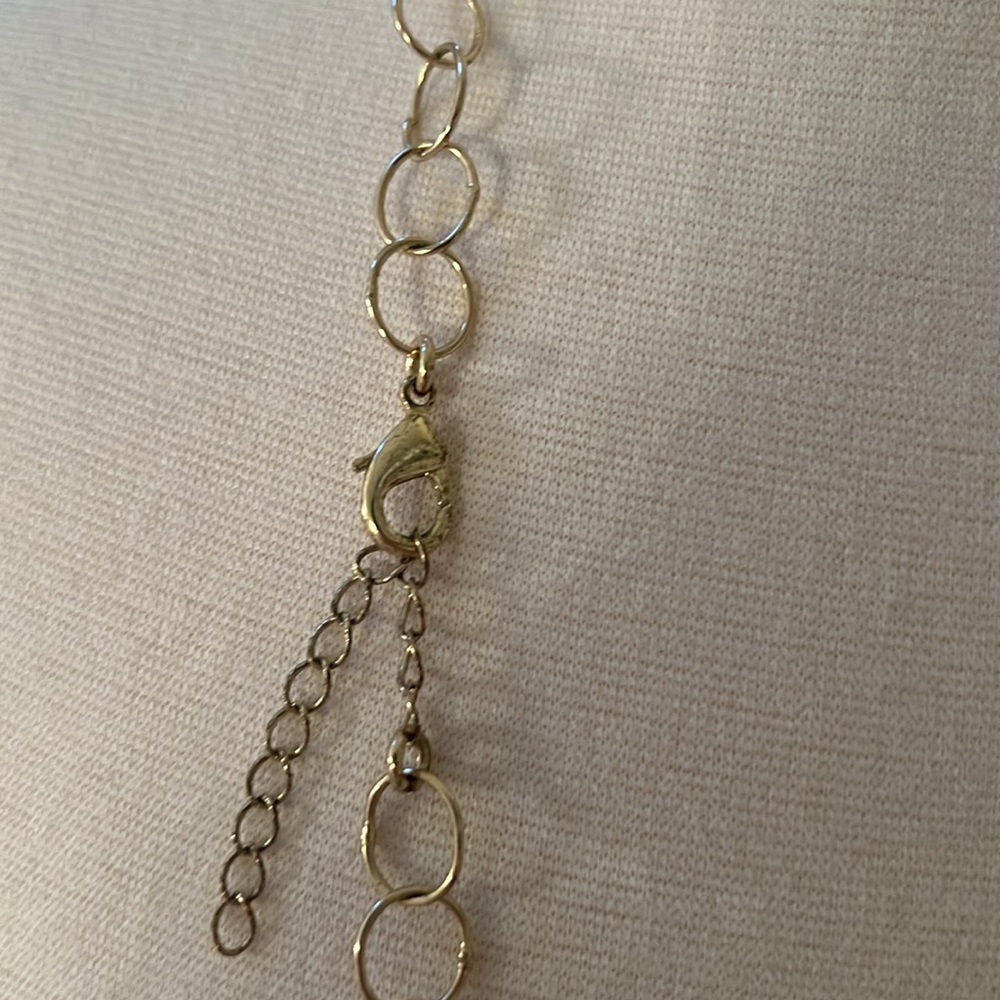 Semiprecious Brown Agate Gold-tone Necklace - Picture 4 of 5